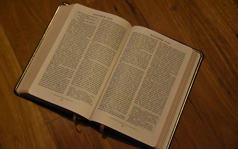 3rd Sunday after Pentecost – Pastor Rolf Lungwitz