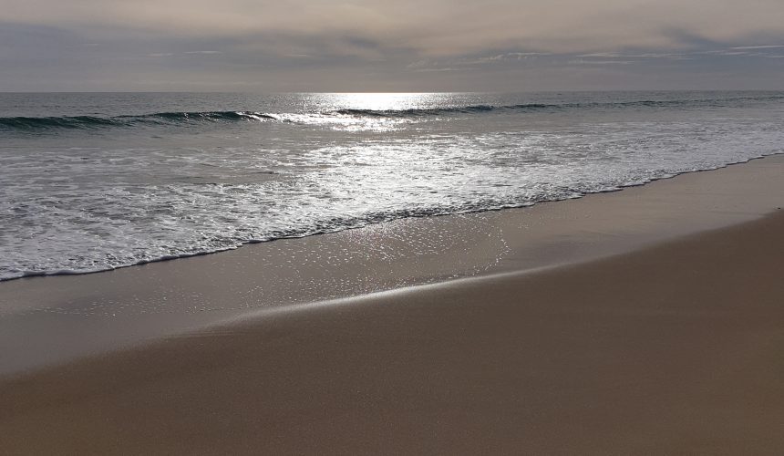 14th Sunday after Pentecost – Pastor Rolf Lungwitz