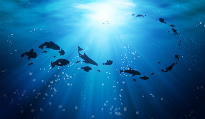 5th Sunday after Epiphany – Pastor Rolf Lungwitz