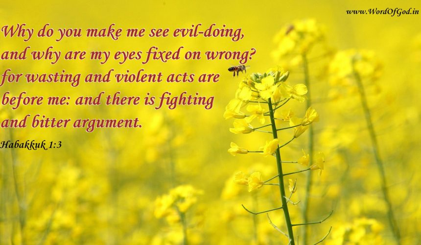 21st Sunday after Pentecost