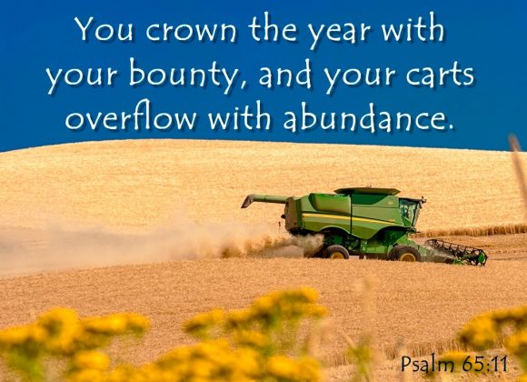 7th Sunday after Epiphany – Pastor Rolf Lungwitz -Thanksgiving Sunday