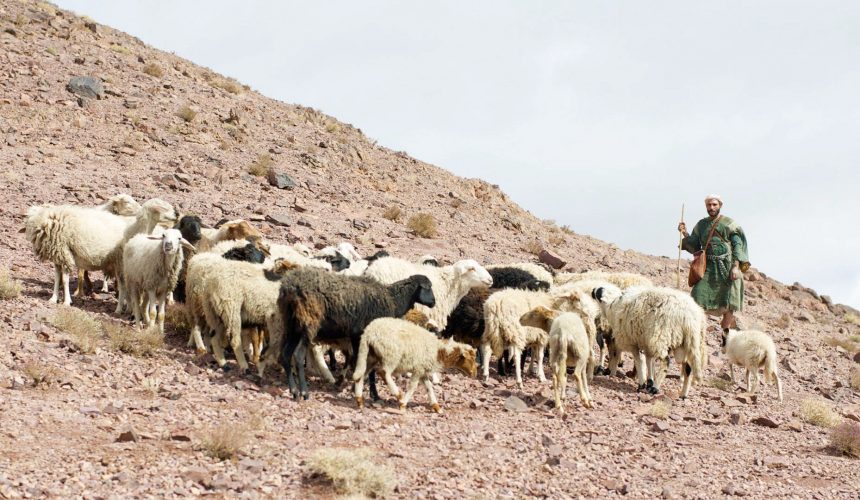 Good Shepherd Sunday – Pastor Rolf Lungwitz