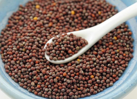 4th Sunday after Pentecost