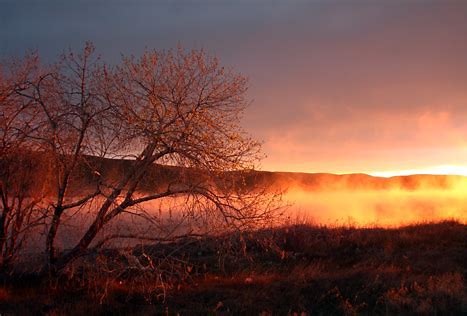 8th Sunday after Pentecost – Pastor Rolf Lungwitz