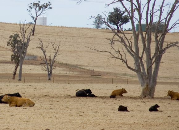 Time of Drought – Pastor Rolf Lungwitz